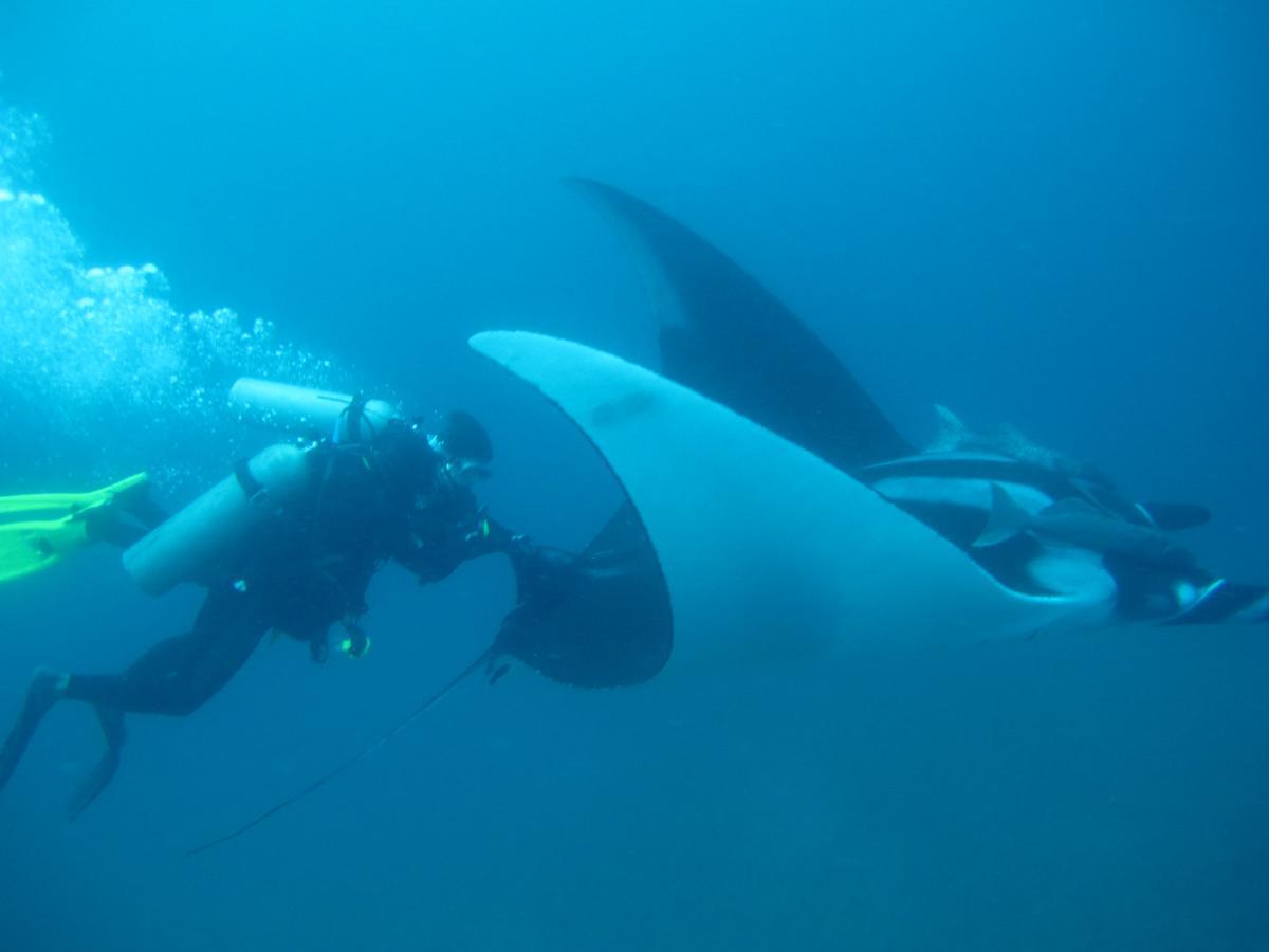 Mantaraya Lodge Puerto López المظهر الخارجي الصورة